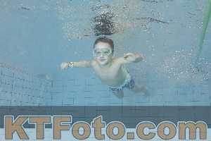 Foto 4299244