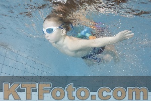 Foto 4299250