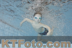 Foto 4299257