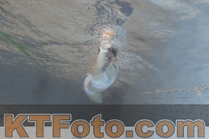 Foto 4299328