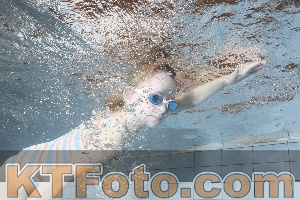 Foto 4299335