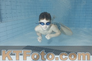 Foto 4299426