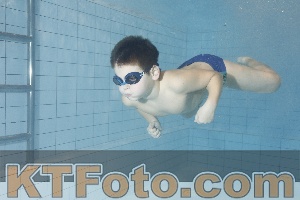 Foto 4299437