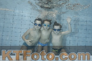 Foto 4299516