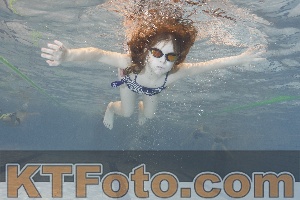 Photo 4299989