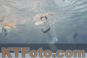Photo 4299993