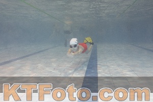 Photo 4300003