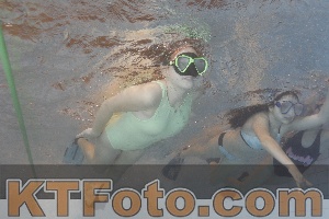 Foto 4301125