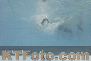 Foto 4301230
