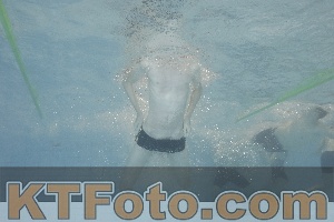 Foto 4301231
