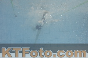 Foto 4301241