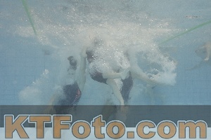 Foto 4301248