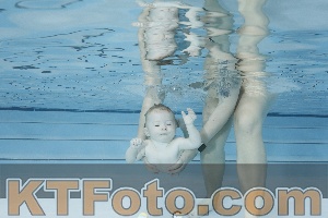 Photo 4221628