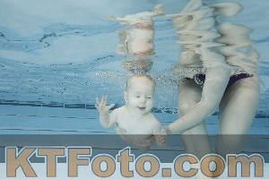 Photo 4221632
