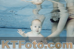 Photo 4221633