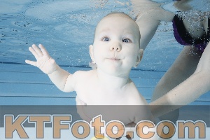 Photo 4221634