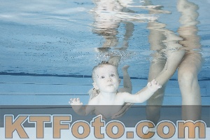 Photo 4221639