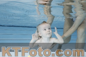 Photo 4221640