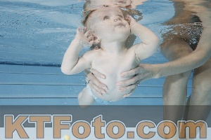 Photo 4221641