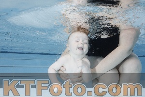 Photo 4221642