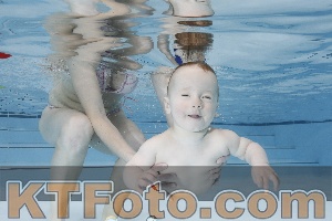 Photo 4221648