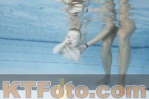 Photo 4221882