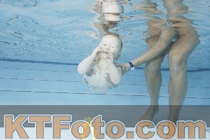 Photo 4221883