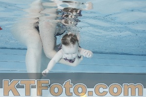 Photo 4221887