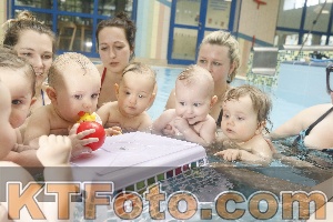 Photo 4222052