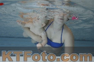 Photo 4222143