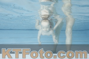 Photo 4222524
