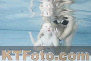 Photo 4222538