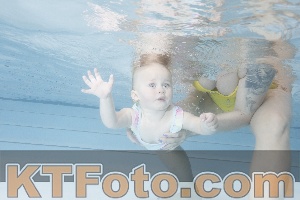 Photo 4222539