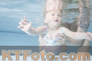 Photo 4222541
