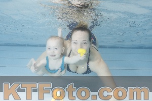 Photo 4222545