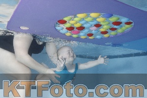 Photo 4222552