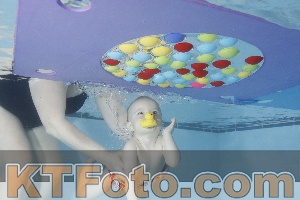 Photo 4222555