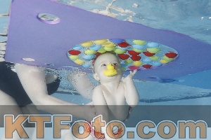 Photo 4222556