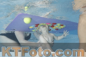 Photo 4222785