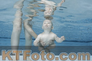 Foto 4254635