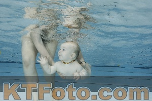 Foto 4254638