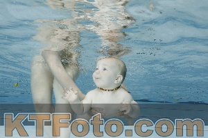 Foto 4254639