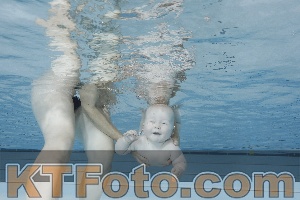 Foto 4254641