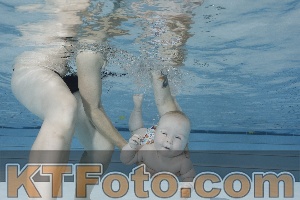 Foto 4254642
