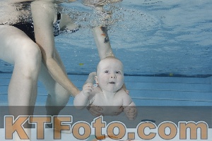 Foto 4254643