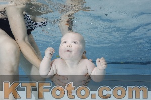 Foto 4254644