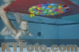 Photo 4254656