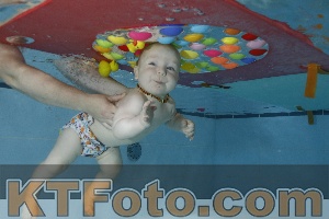 Photo 4254657
