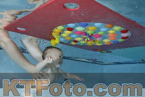 Photo 4254659