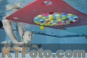 Foto 4254661